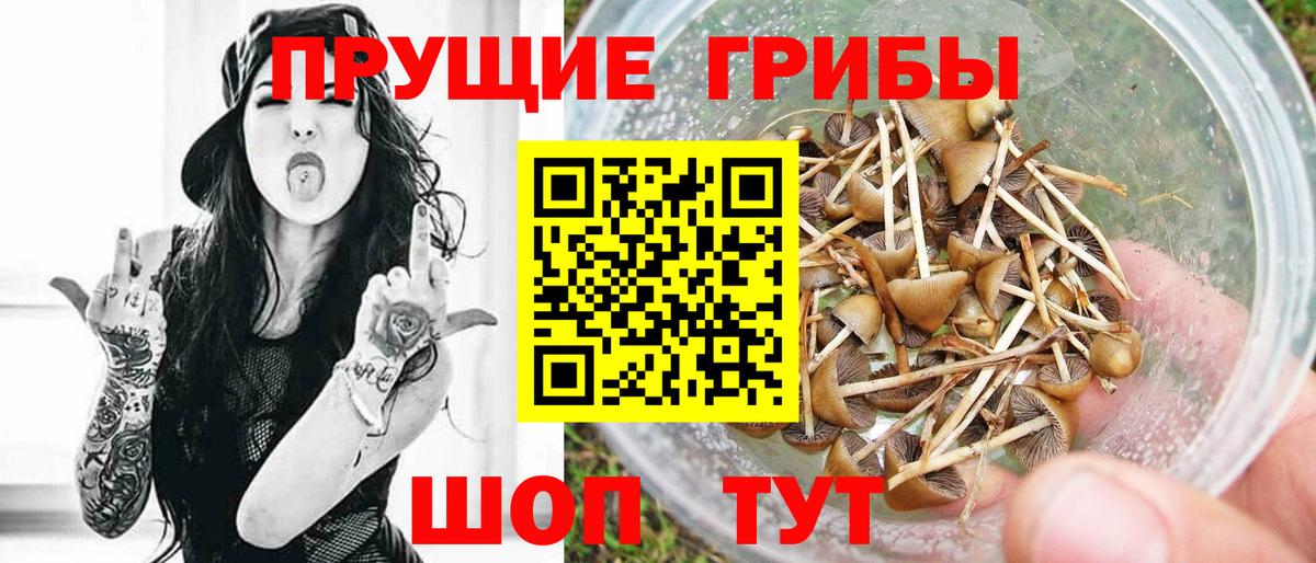 Псилоцибиновые грибы GOLDEN TEACHER  Вход с VPN  Галлюциногенные грибы ЛСД  Химки 